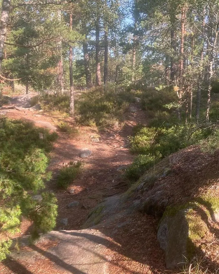 Stockholms Home Away From Home Fisksatra